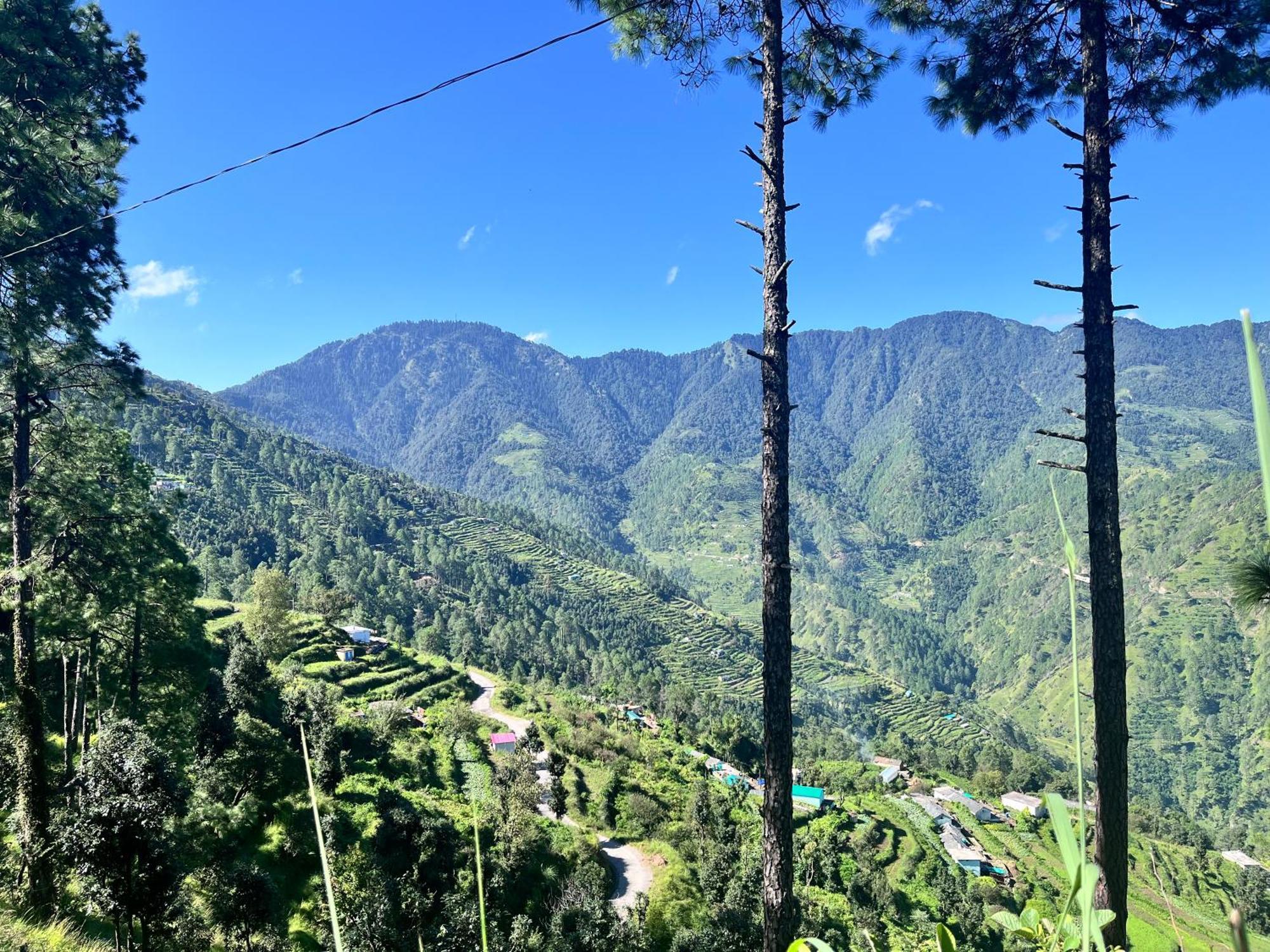 Himalayan Hill Top Resort Kanatal Exterior photo